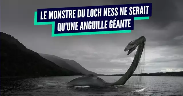 TOP LEGENDES explications