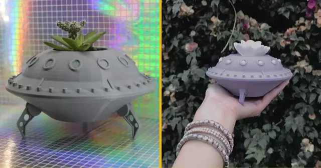 plante-suspendue-soucoupe-volante