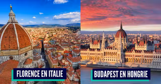 PicMonkey Image (21)