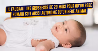 ReponsesQuestionsBebe