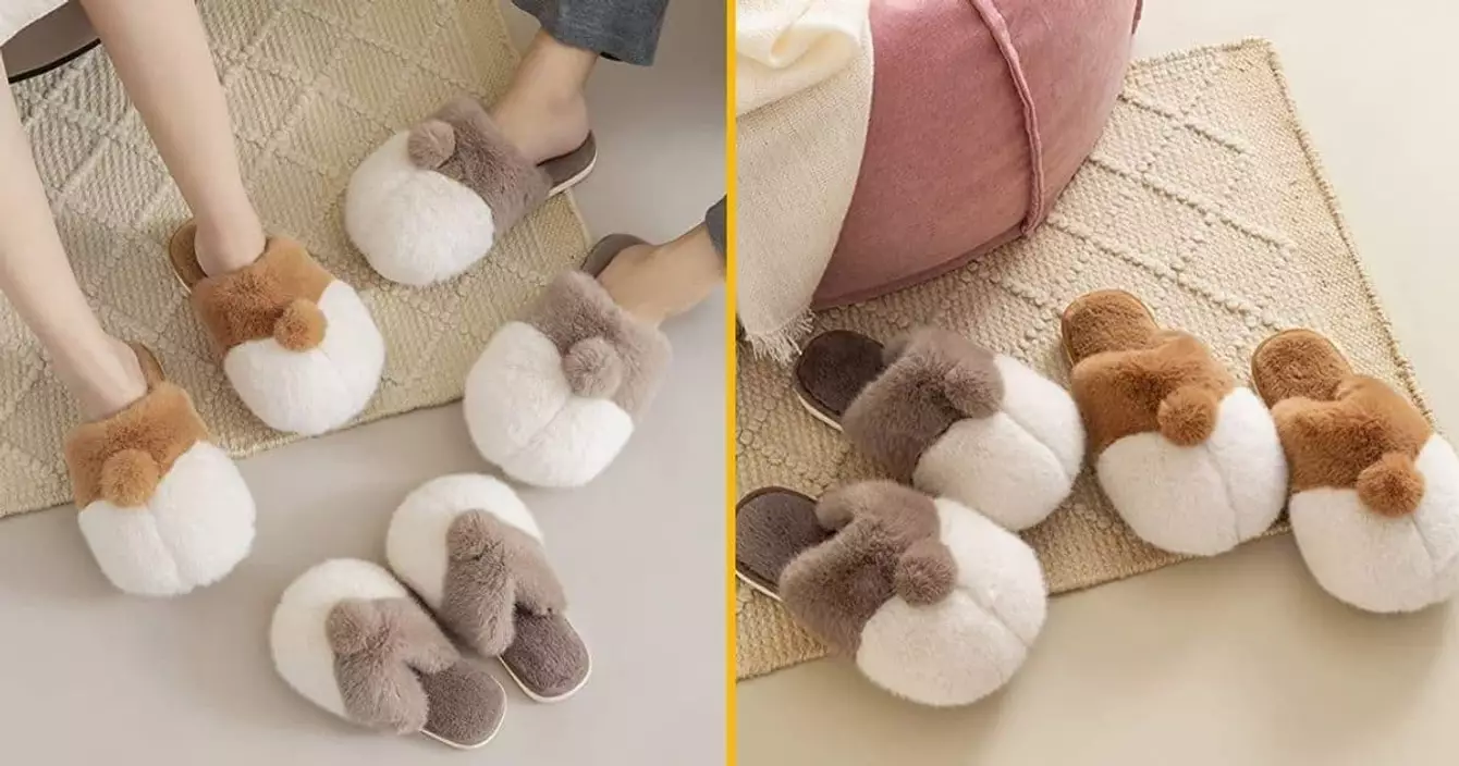 chaussons-fesses-corgi