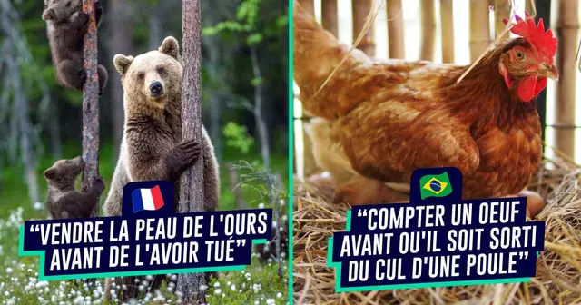 UNE_VOYAGE_expressions-france-bresil