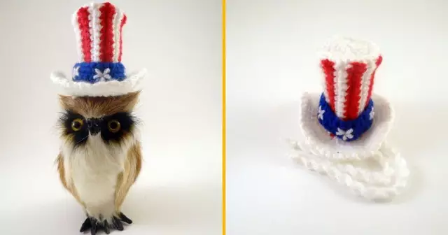 chapeau-americain-rongeurs