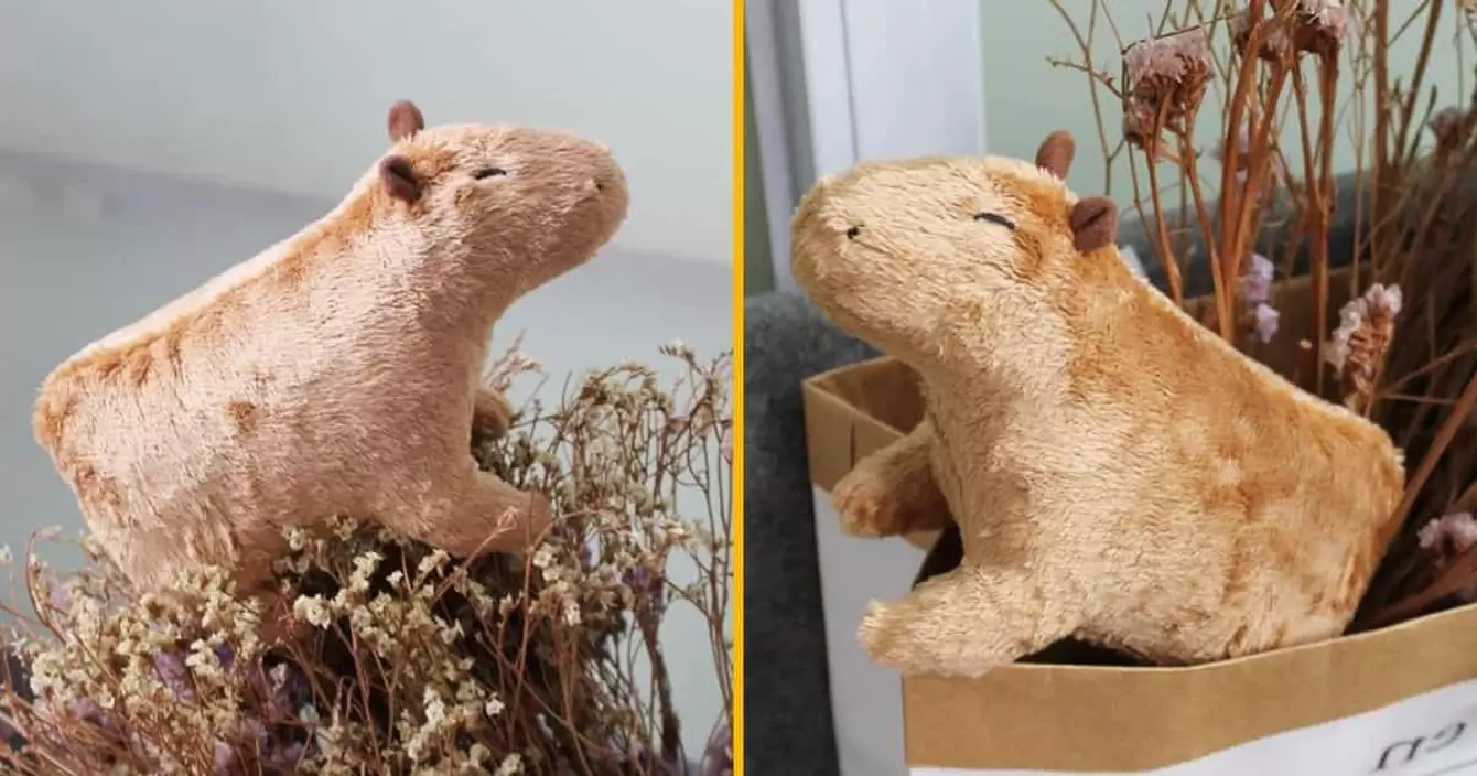 peluche-capybara