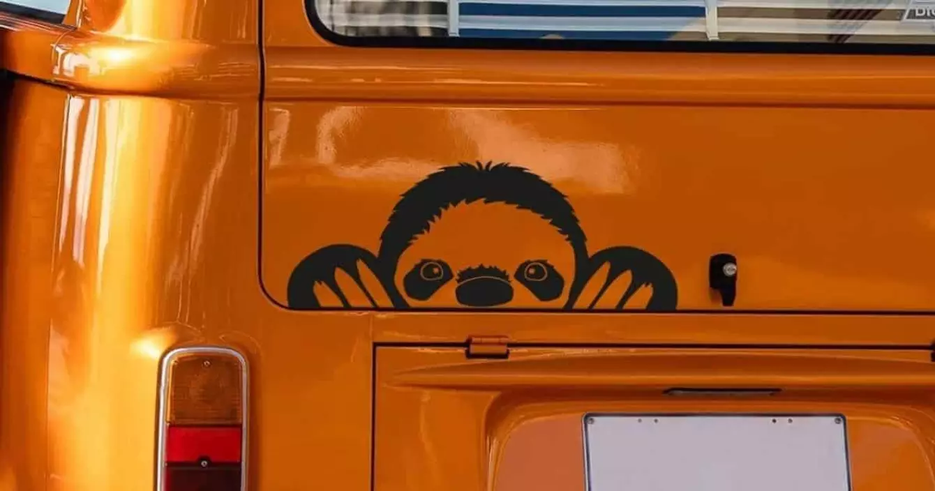 autocollant-fenetre-paresseux-roulez-rythme