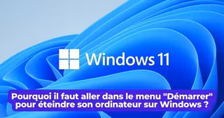 windows