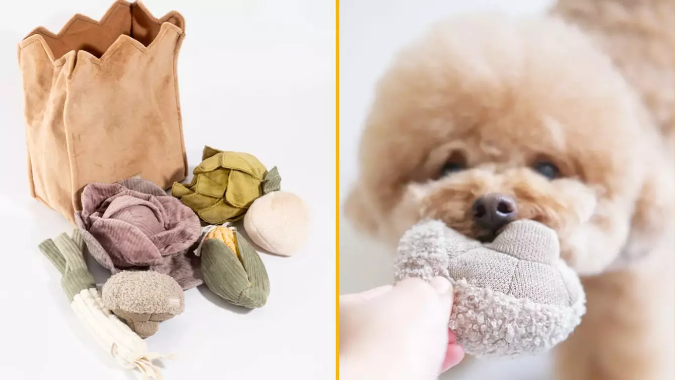 jouets-legumes-chien