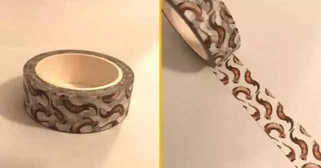 derouleur-papier-adhesif-loutre