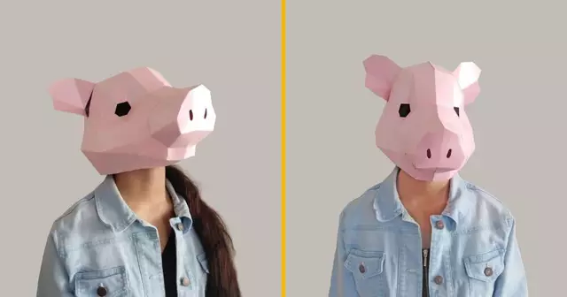 un-masque-de-cochon