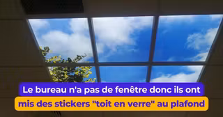 LieuxTravailToxiques