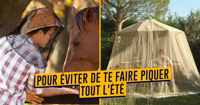 UN-SHOPPING_MOUSTIQUE