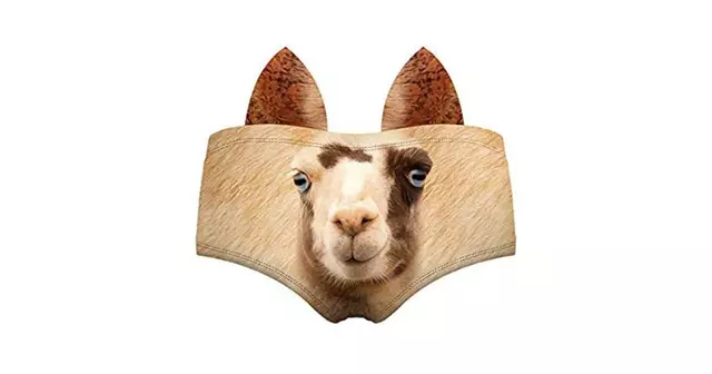 culotte-lama