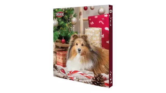 calendrier-lavent-chien