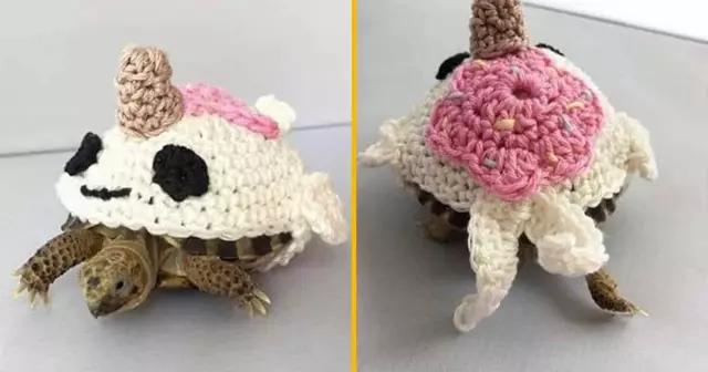 costume-narval-tortue