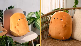 peluche-patate