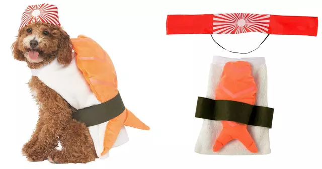 costume-shushi-chien