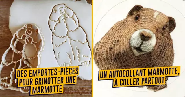 UNE_SHOPPING_MARMOTTE