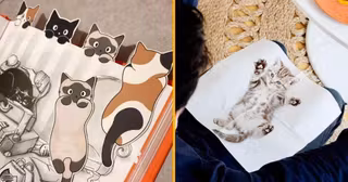 UNE_SHOPPING_MEILLEUR_CADEAU_FAN_CHAT