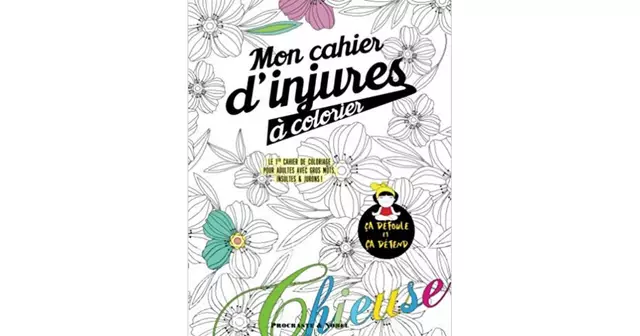 livre-coloriage-insulte