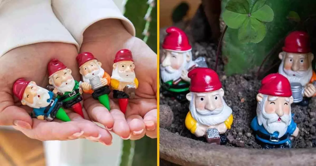 petits-nains-jardin-occupe-plante