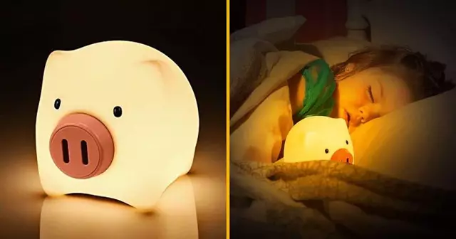 une-veilleuse-cochon