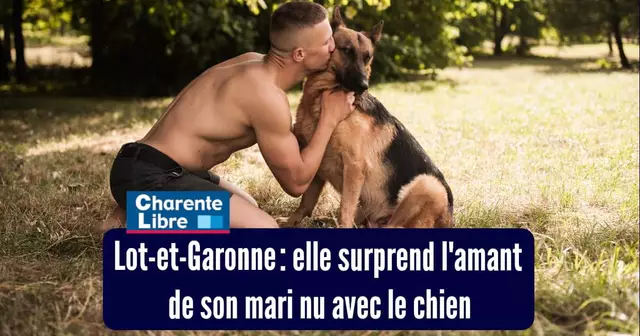 top champions semaine 238 (1)