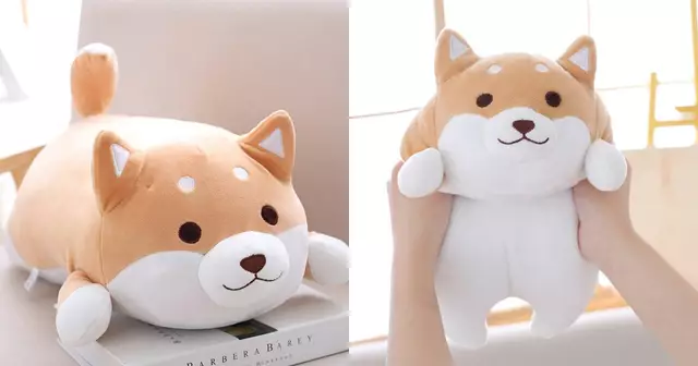 peluche-shiba