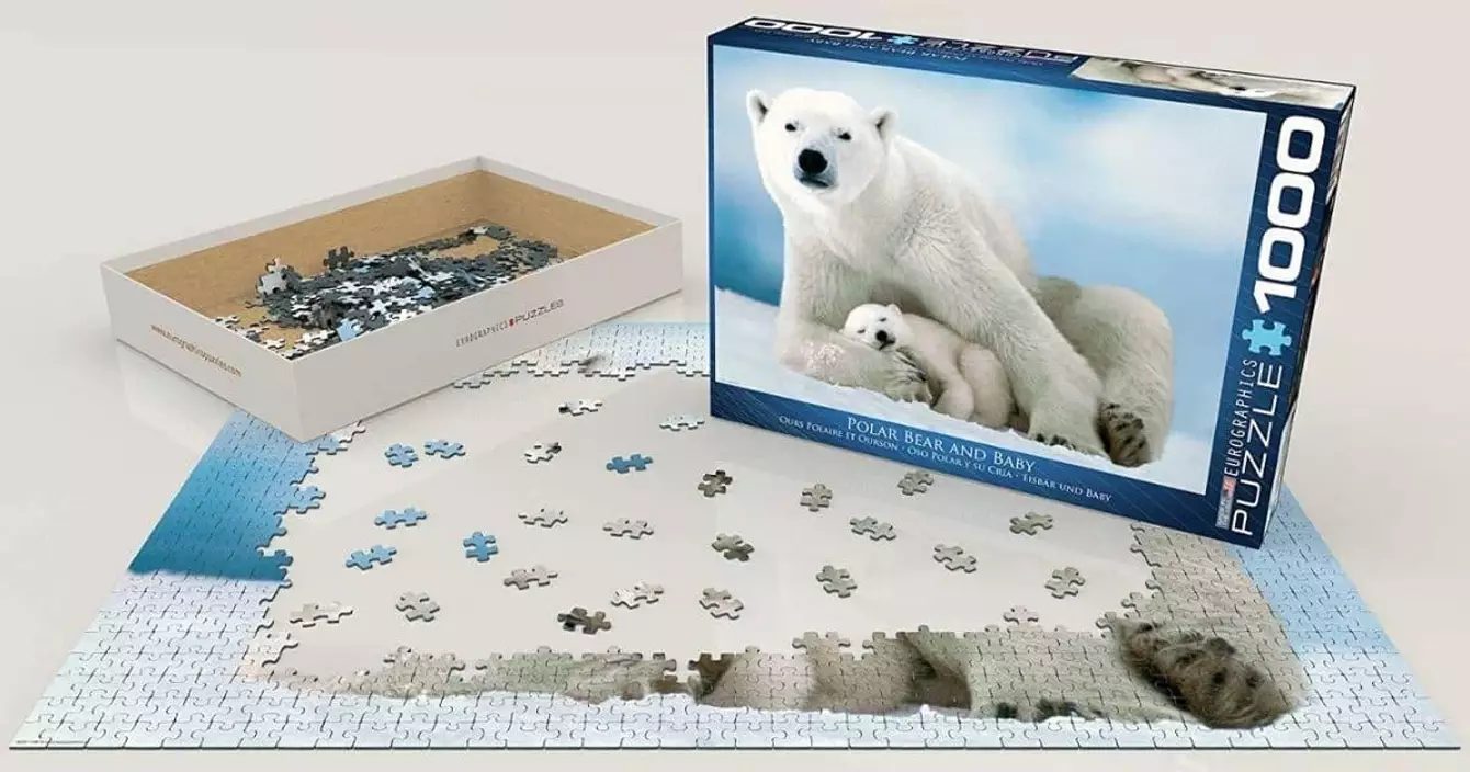 puzzle-ours-polaire