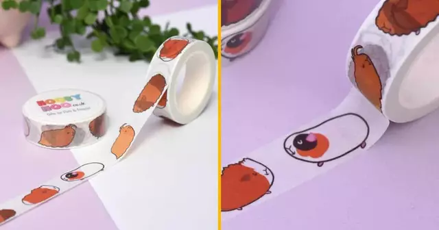 -scotch-rempli-cochons-inde