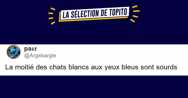 top savoirs inutiles 2