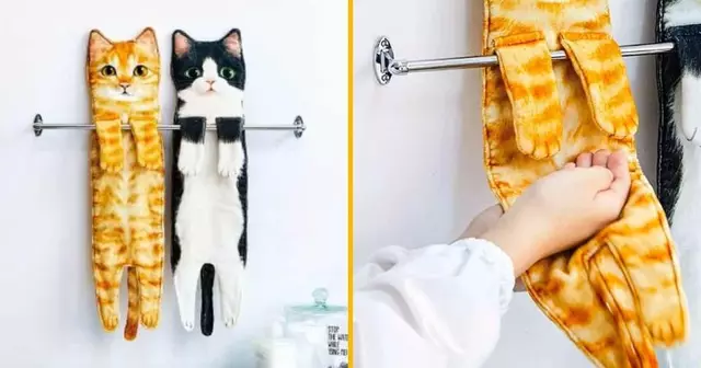 torchon-chat-suspendu-placard