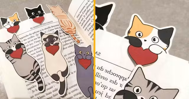 marque-page-chat-carton-recycle