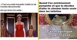 top memes princesse