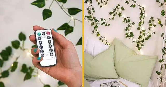 guirlande-lumineuse-lierre