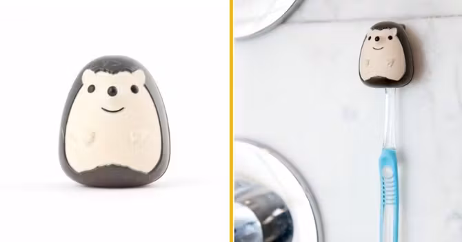 herisson-cure-dent-tient-bord-une-assiette