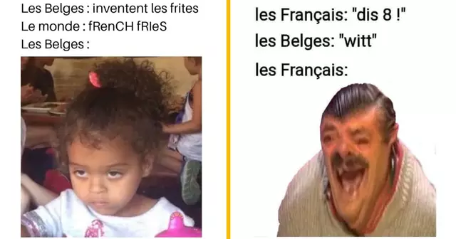 top memes decentralises belgique