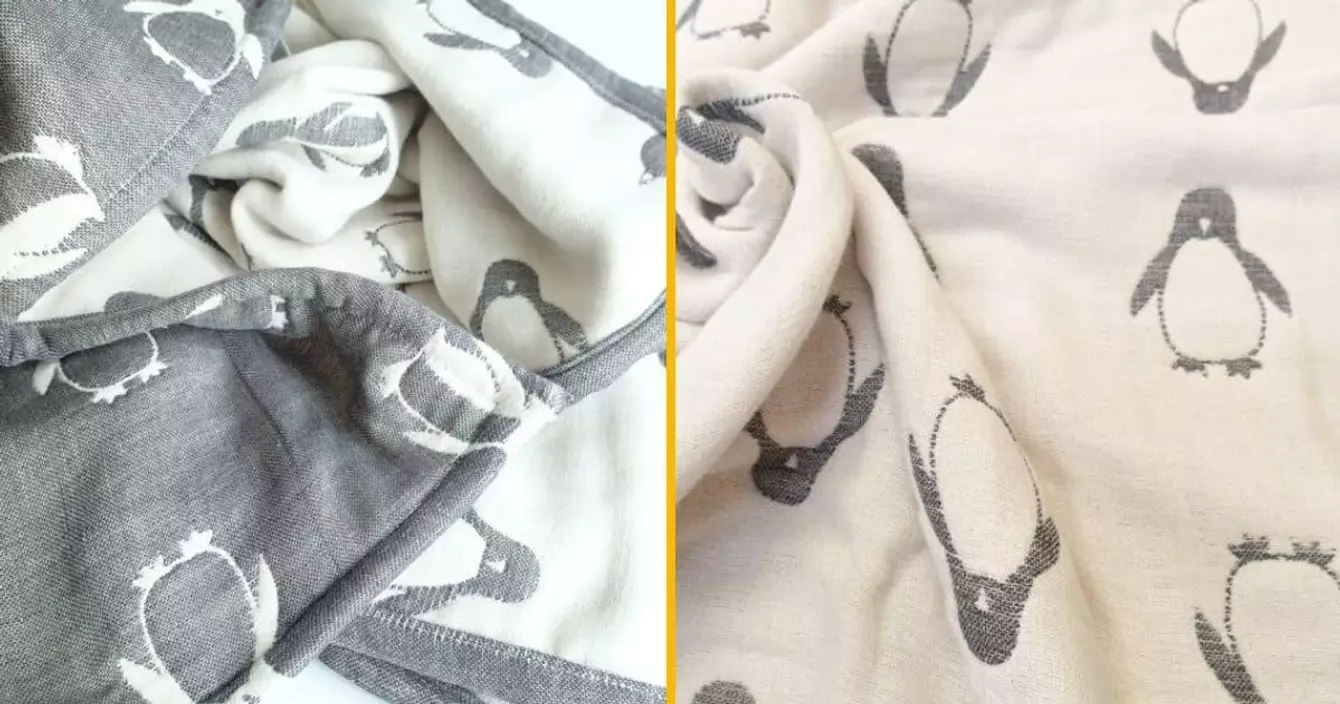 couverture-pingouins-manchots