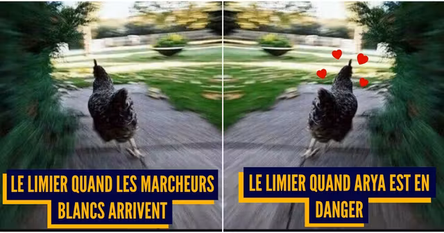 UNE_TOP_MEMES_GOT_S08E3