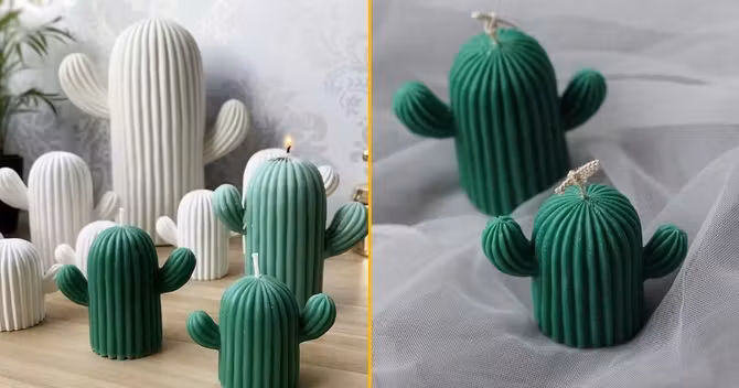 une-bougie-cactus