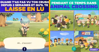 UNE_MEMES_ANIMALCROSSING