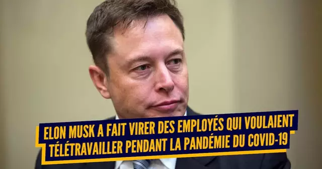 elonmusk2