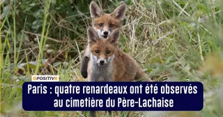 BONNES_NOUVELLES_27AVRIL