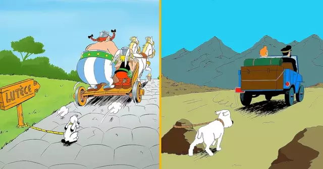 top chiens abandonnés