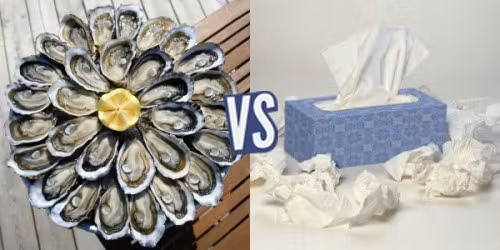 battle-345475-1419256354