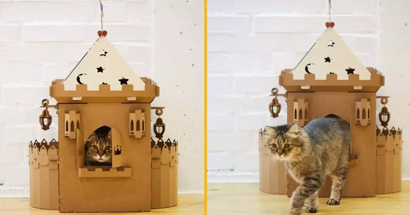 maisonnette-pour-chat-graphique