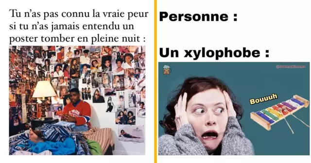 top memes peur