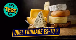 UNE_TOP_TEST_FROMAGE