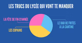une_infographie_camembert