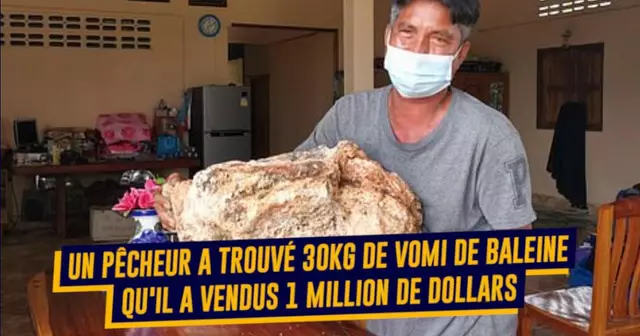 une-decouvertes-millionnaire