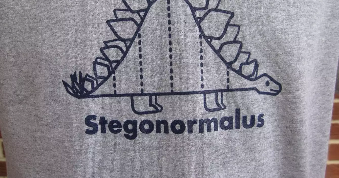 il_fullxfull.276554212